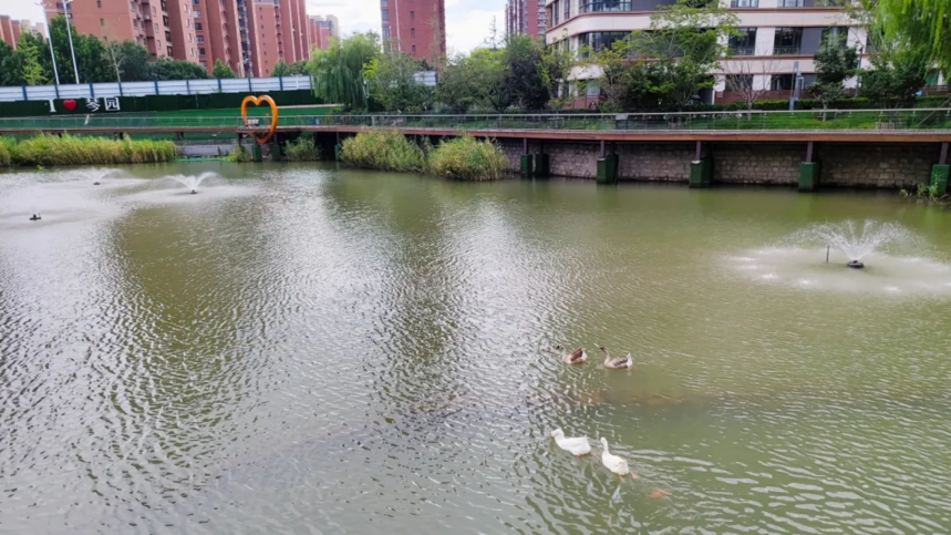 1755072848939973.png 514c1aa02f5106f05b24b5a2f741fae.png