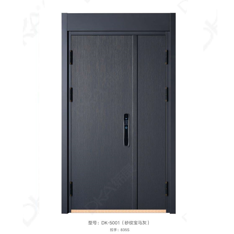 DK-5001 ��ɰ�Ʊ����ң�.jpg