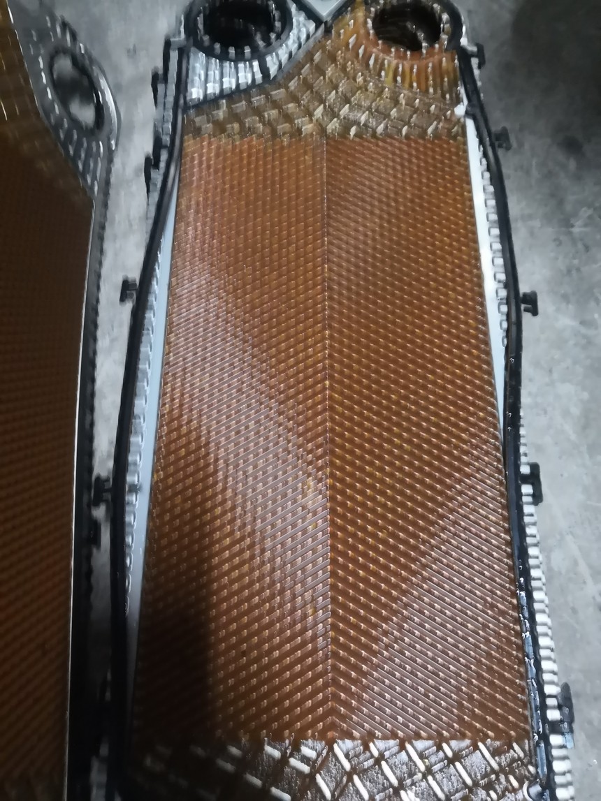 187-��ʽ��������ϴǰ.jpg