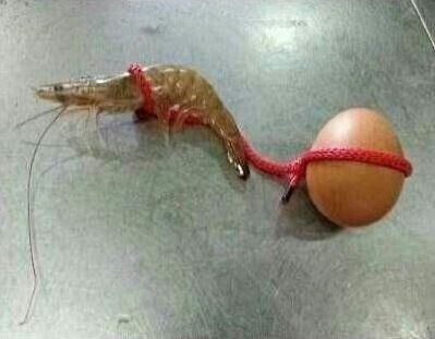 ΢ſټӺѵ21  Ӫ ĵ 1