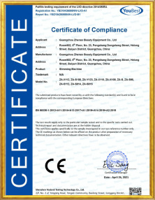 广州震澳营业执照许可证