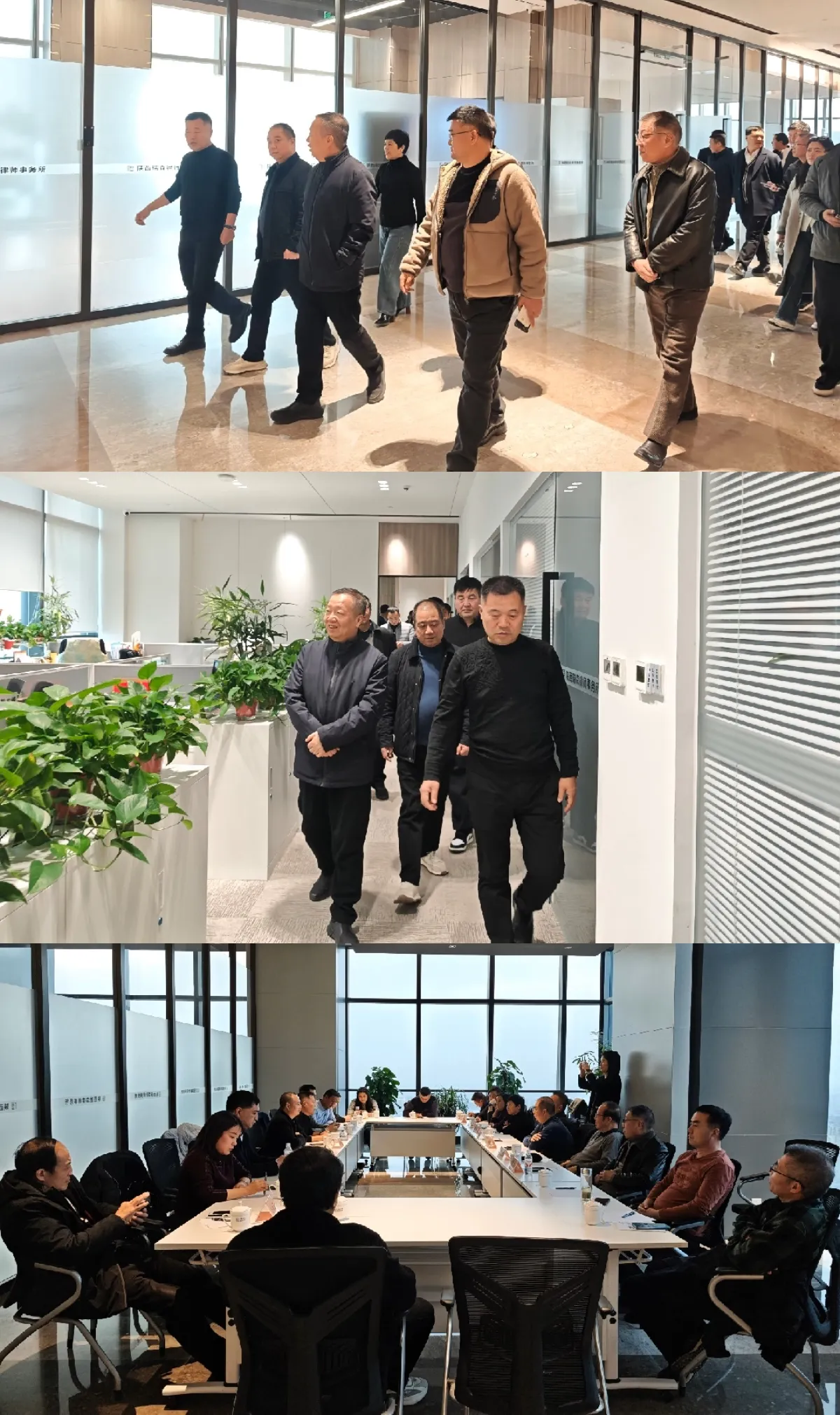 1766978334890499.jpg 10.jpg