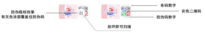 3.png
