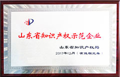 山東省知識(shí)產(chǎn)權(quán)示范企業(yè)