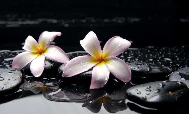 1564670879612733.jpg timg (37).jpg