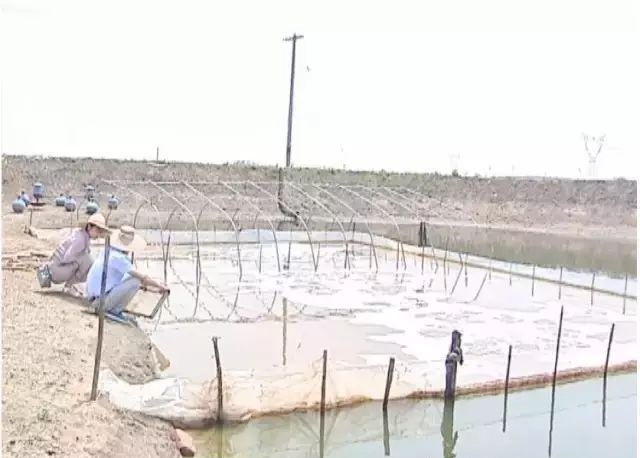 3ad22b8af2f94bc89d97e5c84bfa4053.jpg 3ad22b8af2f94bc89d97e5c84bfa4053.jpg