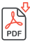PDF.png