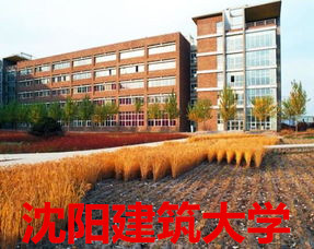 1-1P524102R20-L.png