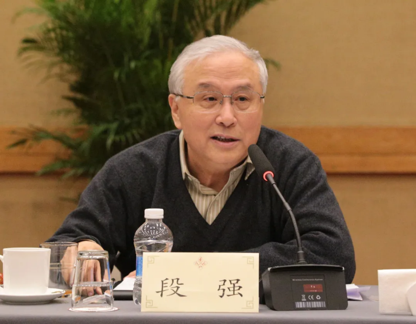 中国旅游协会会长段强