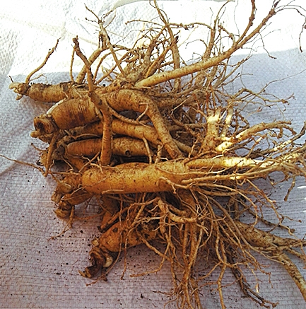 ���x�t(y��)ˎ�Ƽ������B(y��ng)��