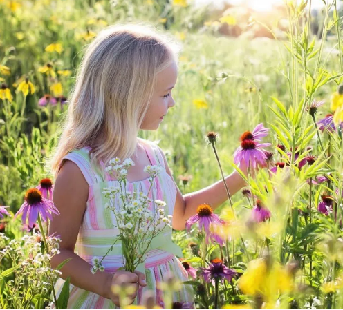 兒童教育.png 兒童教育.png