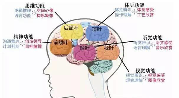 ���x�t(y��)ˎ�Ƽ���ͯ��Ԫ���ܜy�u