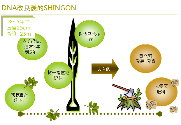 1565620417188038.png a.png