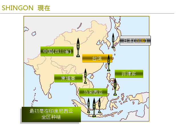 1565620539999409.png a.png