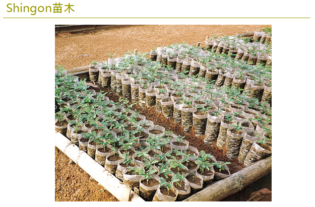 1565621645166089.png a.png