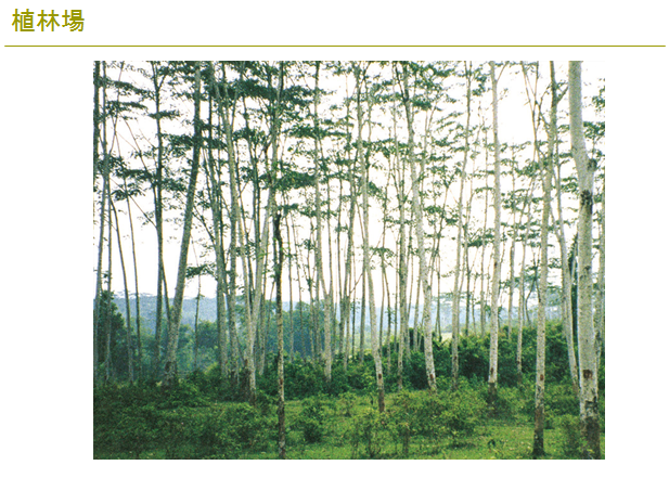 1565621678247126.png a.png