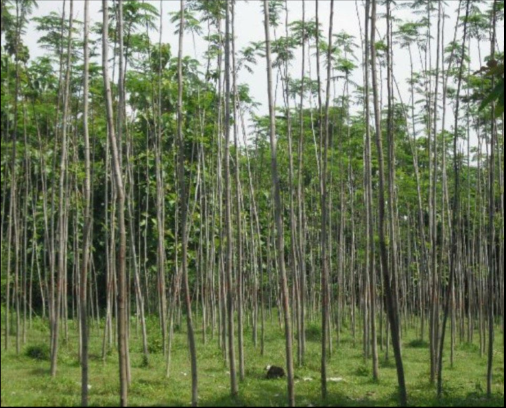 1596345609675935.png image.png