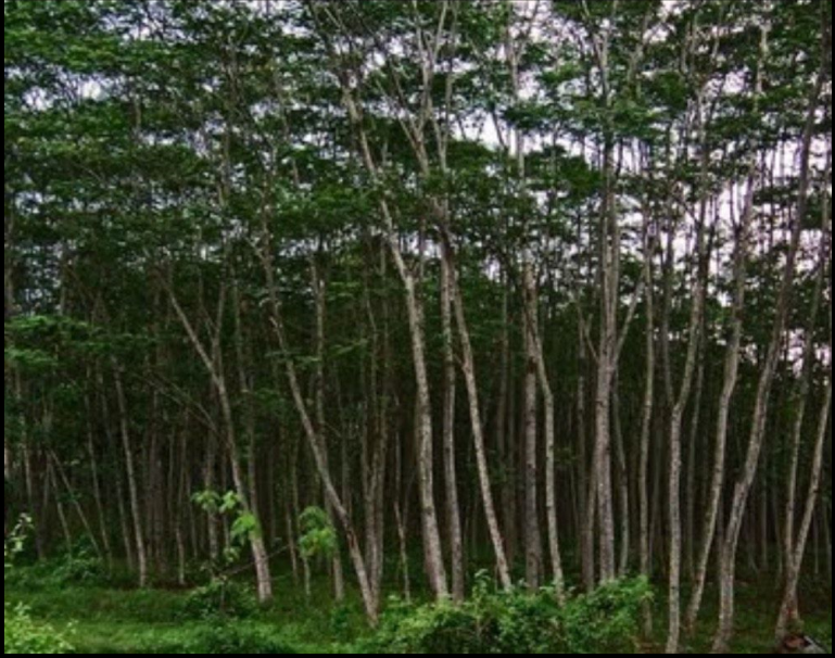 1596345930829939.png image.png