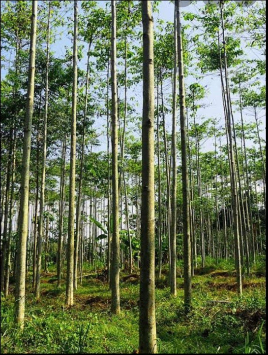 1596346102748577.png image.png