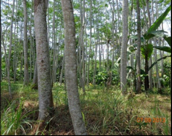 1596346150808240.png image.png