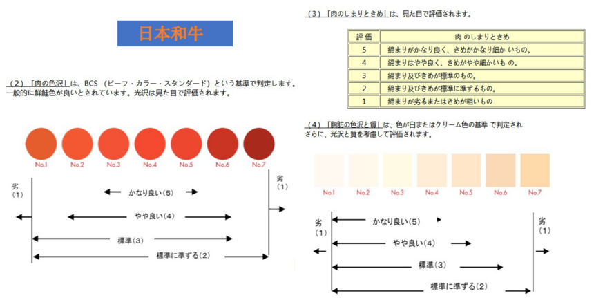 1616746214838048.png 1.png