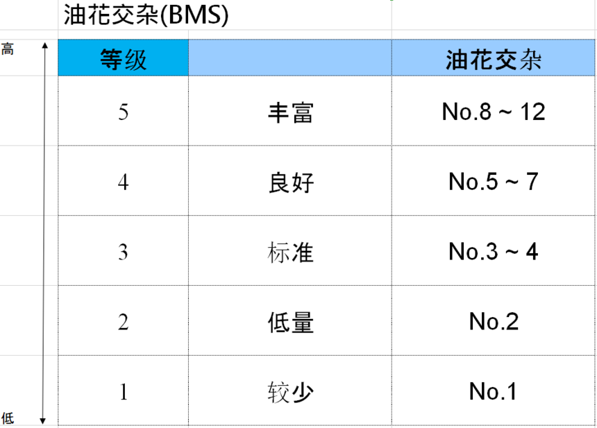 1616747049677550.png 1.png