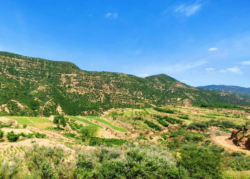 1754875465922640.jpg 微信图片_20250811092355_26.jpg