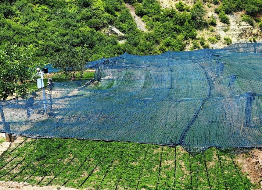 1754875485606961.jpg 微信图片_20250811092355_28.jpg