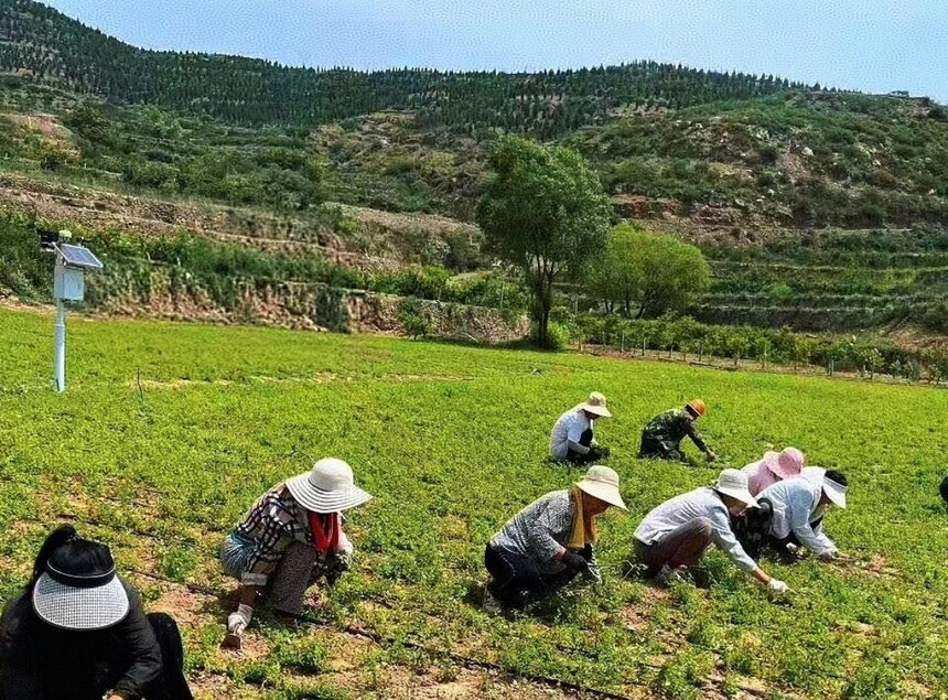 1754875495488122.jpg 微信图片_20250811092355_29.jpg