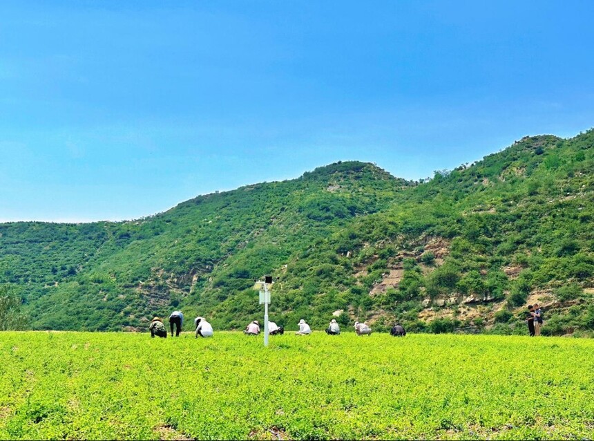 1754875505436561.jpg 微信图片_20250811092355_30.jpg