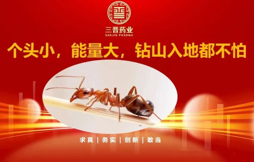 1761268252420077.jpg 微信图片_20251024090731_150_21.jpg