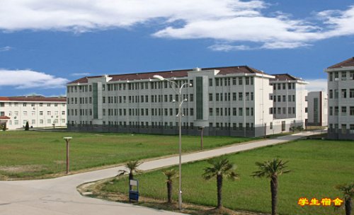 x_0855067440_m.jpg
