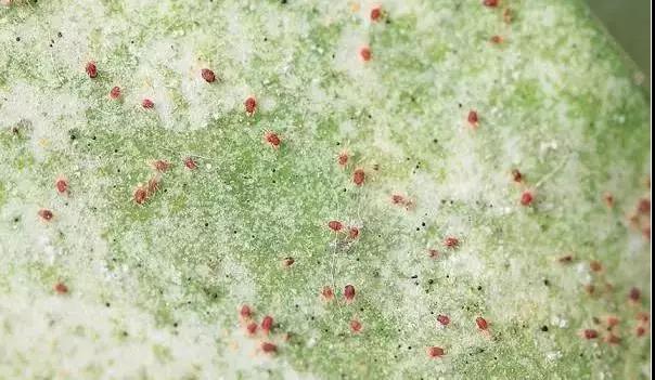 1558626739419158.jpg 2.jpg