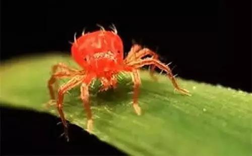 1558626754390614.jpg 3.jpg