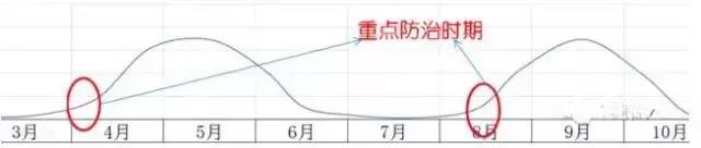 1558626795470613.jpg 6.jpg