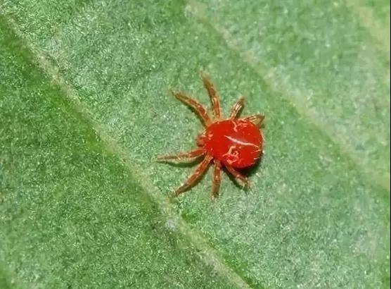 1558626805739902.jpg 7.jpg