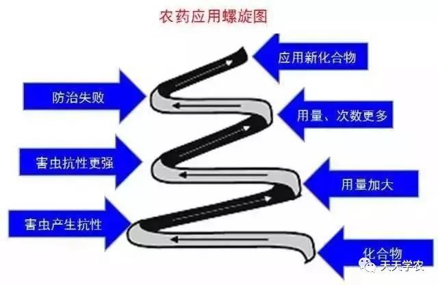 1558626818411899.jpg 8.jpg