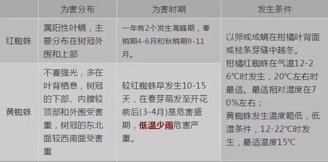 1558626844645102.jpg 10.jpg