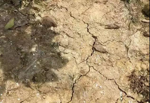 1558627035224438.jpg 1.jpg