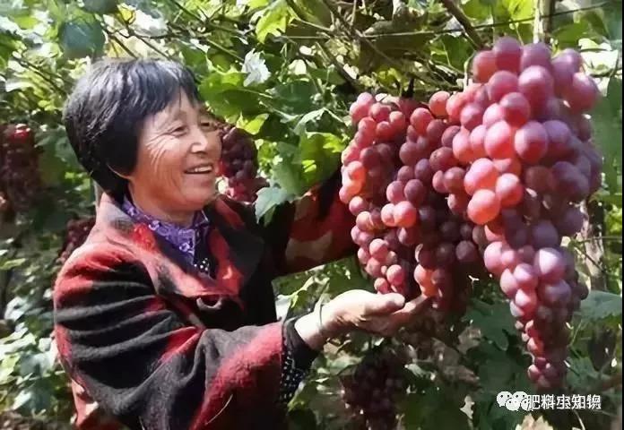 1558627286943639.jpg 2.jpg