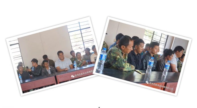 1557582242347738.png 6.png