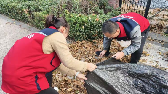 1732698950617154.png 1732698950617154.png