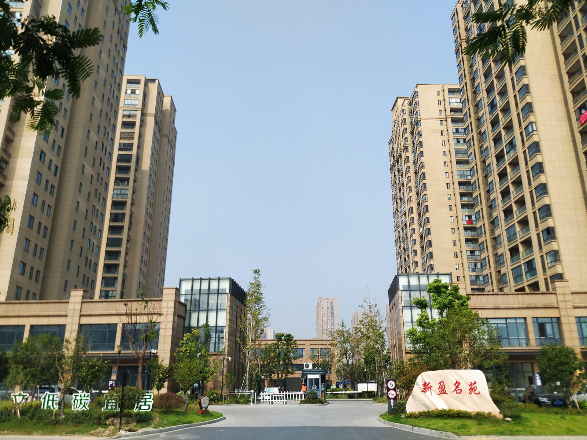 ӯԷ.jpg
