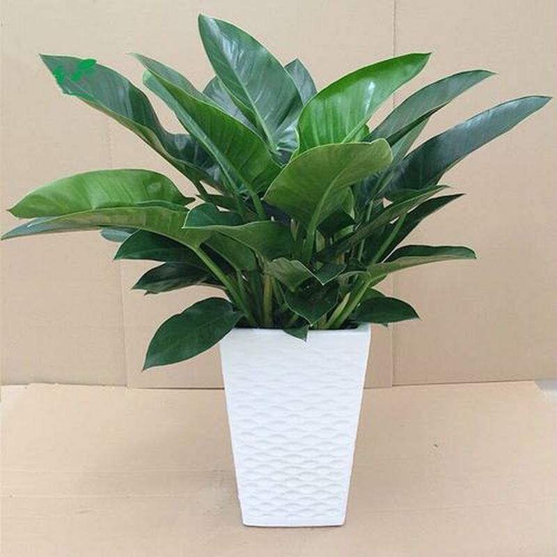 ������1(1).jpg