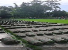 重慶草坪基地