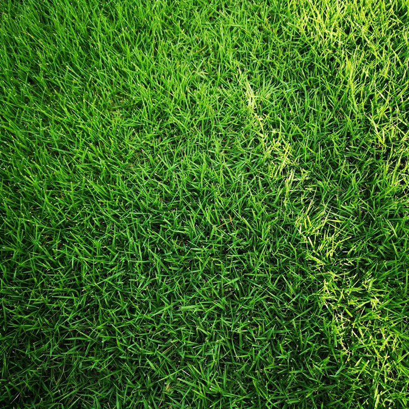 1558509789565167.jpg 微信圖片_20190521135323.jpg