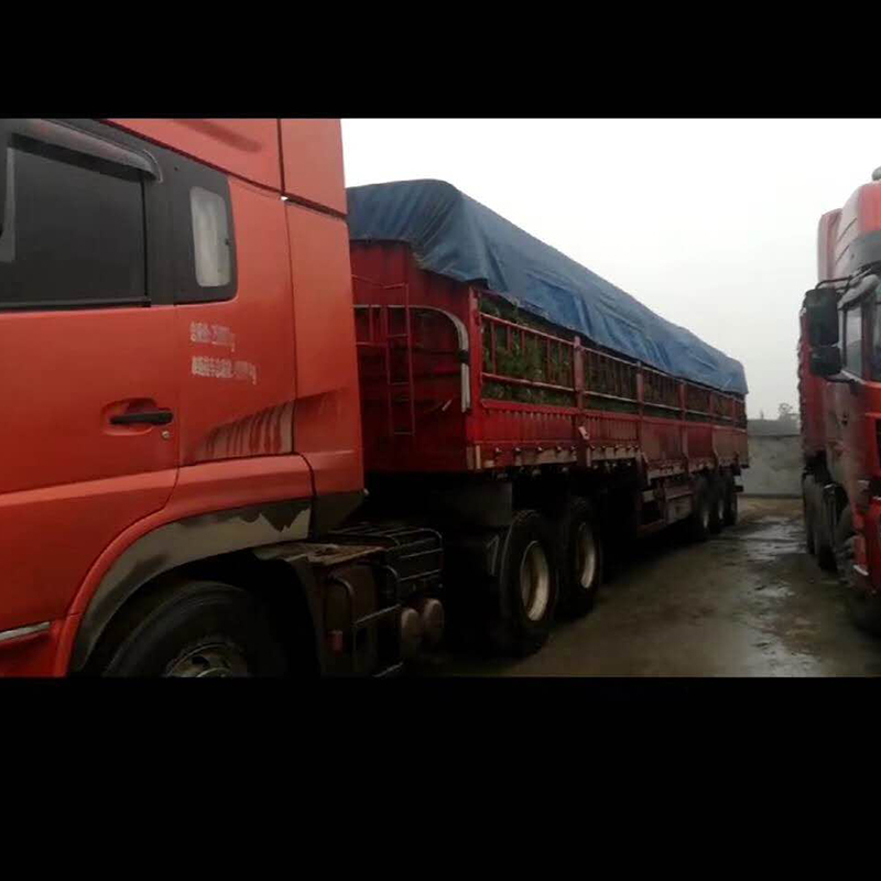 1558517312152701.jpg 微信圖片_20190521135439.jpg