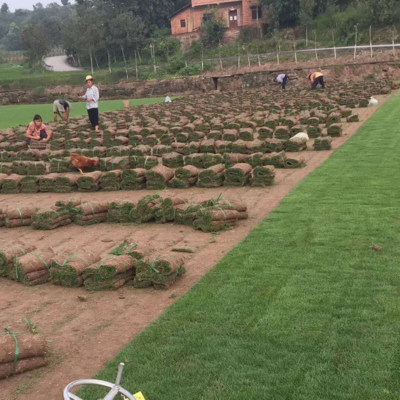 1558517321286040.jpg 微信圖片_20190521135443.jpg