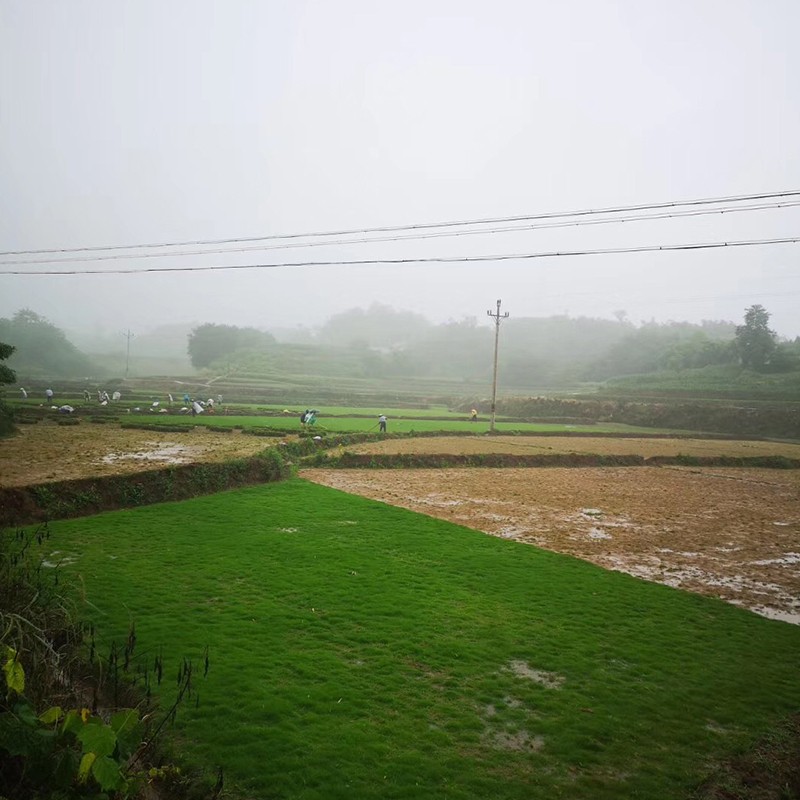 1558517449419243.jpg 未標(biāo)題-1.jpg