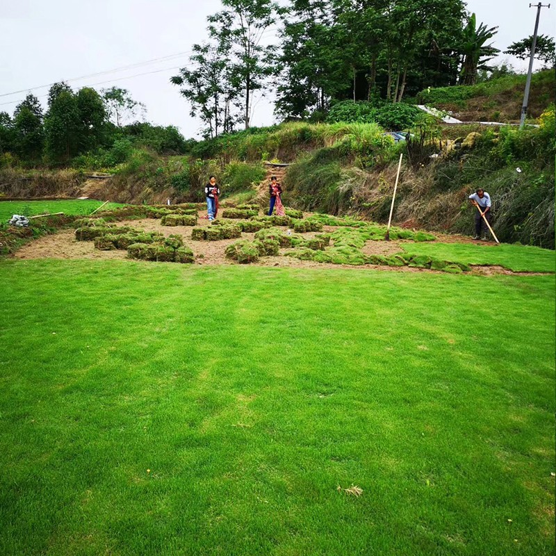 1558517457166920.jpg 13.jpg